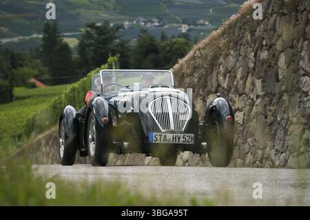 Rally di auto d'epoca Suedtirol-Classic a scena / alto Adige 2014, Austin Silverstone Special Roadster (costruito nel 1952) sulla Labersstrasse in salita al Foto Stock