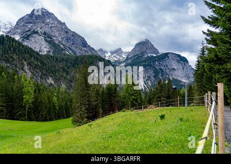 Prato alpino panoramico e montagne con funivia vicino a Ehrwald, Tirolo, Austria Foto Stock