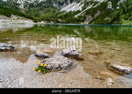 Lago Seebensee con sfondo montano vicino a Ehrwald, Tirolo, Austria Foto Stock