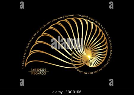 Fibonacci Sequence Golden ratio. Forme geometriche a spirale. Spirale lumaca. Conchiglia marina di cerchi d'oro. Modello logo geometria sacra. Vettore isolato Illustrazione Vettoriale