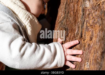 Descrizione: Foto di un bambino con un maglione bianco che tocca un tronco di sequoia in una giornata di sole e di luce nel parco. La vita giovane incontra la vita vecchia. Foto Stock