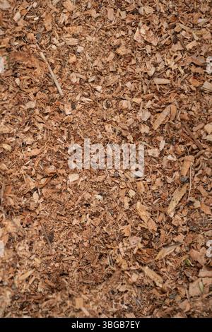 Foto full-frame della trama del pacciame di legno tritato, ideale per la progettazione di giardini, materiali a energia rinnovabile, texture naturali, prodotti per l'architettura paesaggistica o backgroun Foto Stock