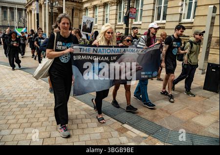 NARD - Festa nazionale dei diritti degli animali - Birmingham Victoria Square, 1 giugno 2025. Attivisti di fronte alla sede del Consiglio che marciano per il centro della città. Foto Stock