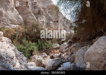 Un canyon roccioso con pochi alberi e cespugli. Le rocce sono grandi e gli alberi sono scarsi Foto Stock