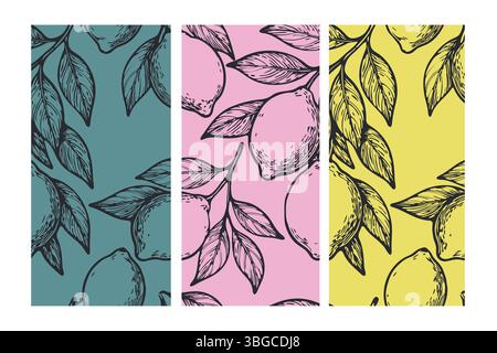 Set di fiori di limone senza cuciture con agrumi e foglie disegnati a mano su sfondi color verde acqua, rosa e giallo. Audace, vivace e perfetta per l'estate Illustrazione Vettoriale