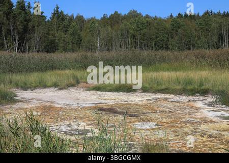 An die Oberfläche tretende mineralisierte Wässer, Ablagerungen, früher in Sudhütten zu Salzen eingesotten, Landschaft im Soos, Moor, Nationales Naturr Foto Stock