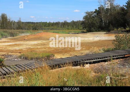 An die Oberfläche tretende mineralisierte Wässer, Ablagerungen, früher in Sudhütten zu Salzen eingesotten, Lehrpfad und Wanderweg, Landschaft im Soos, Foto Stock
