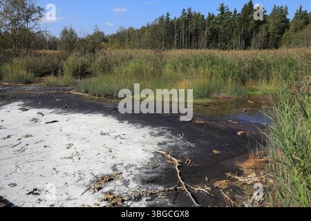 An die Oberfläche tretende mineralisierte Wässer, Ablagerungen, früher in Sudhütten zu Salzen eingesotten, Landschaft im Soos, Moor, Nationales Naturr Foto Stock