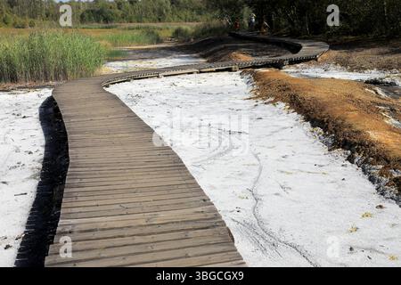 An die Oberfläche tretende mineralisierte Wässer, Ablagerungen, früher in Sudhütten zu Salzen eingesotten, Lehrpfad und Wanderweg, Landschaft im Soos, Foto Stock