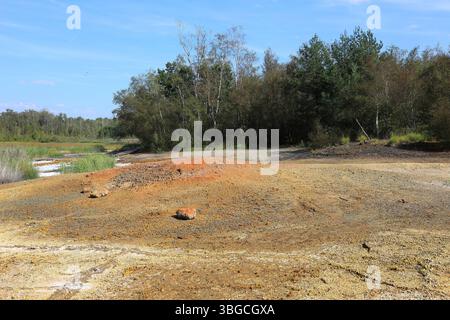An die Oberfläche tretende mineralisierte Wässer, Ablagerungen, früher in Sudhütten zu Salzen eingesotten, Landschaft im Soos, Moor, Nationales Naturr Foto Stock