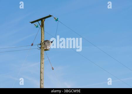 cavi di alimentazione elettrica monofase da 11 kv e trasformatore step-down su un palo in legno. Foto Stock