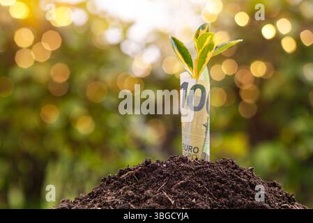 Le piccole piante stanno crescendo da una banconota da 100 euro nel suolo fertile, rappresentando la crescita finanziaria e gli investimenti Foto Stock