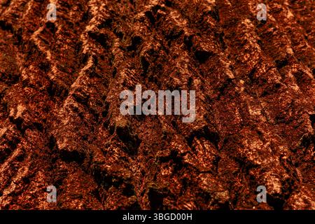 Primo piano di corteccia arborea robusta e rossastra che mostra scanalature profonde e texture naturale, ideale per sfondi o disegni a tema naturale. Foto Stock