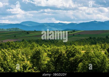 La lussureggiante foresta incontra una tavolozza di campi su una terra delicatamente ondulata sotto un cielo spettacolare Foto Stock
