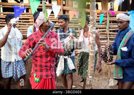 Musicisti locali che suonano strumenti tradizionali mentre festeggiano il giorno del matrimonio nella remota zona di Orissa, in India, Foto Stock