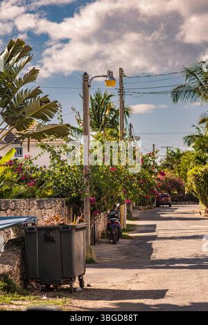 Bayahibe, Repubblica Dominicana 1 gennaio 2025: Un traboccante di rifiuti si trova in una strada residenziale a dominicus, repubblica dominicana, evidenziando Foto Stock