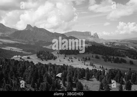 Gli ampi prati sul versante settentrionale dello Sciliar nelle Dolomiti Foto Stock