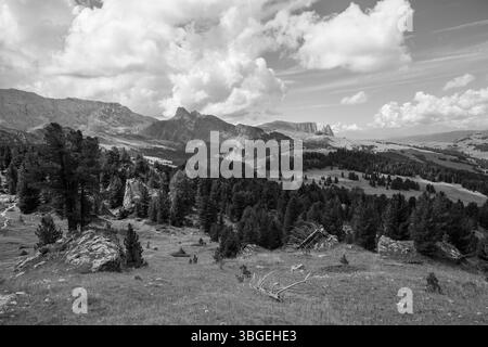 Gli ampi prati sul versante settentrionale dello Sciliar nelle Dolomiti Foto Stock
