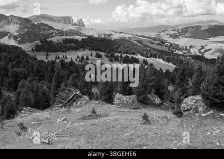 Gli ampi prati sul versante settentrionale dello Sciliar nelle Dolomiti Foto Stock