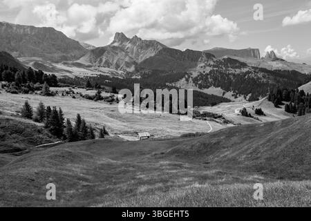 Gli ampi prati sul versante settentrionale dello Sciliar nelle Dolomiti Foto Stock