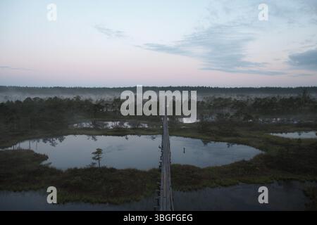 Passerella in legno attraverso la palude nebbiosa con laghi all'alba Foto Stock