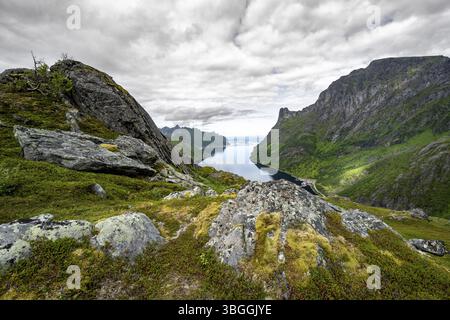 Vista del fiordo e delle montagne di Oyfjorden, paesaggio dei fiordi con vette, escursione al monte Barden, Senja, Norvegia, Europa Foto Stock