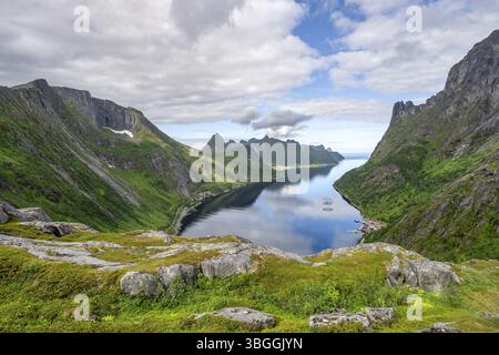 Vista del fiordo e delle montagne di Oyfjorden, paesaggio dei fiordi con vette, escursione al monte Barden, Senja, Norvegia, Europa Foto Stock