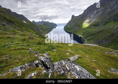 Vista del fiordo e delle montagne di Oyfjorden, paesaggio dei fiordi con vette, escursione al monte Barden, Senja, Norvegia, Europa Foto Stock