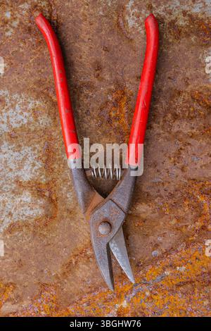 Cesoie a coccodrillo per il taglio di lamiere con manico rosso, foto dettagliata di una vecchia attrezzatura d'epoca isolata su sfondo bianco Foto Stock
