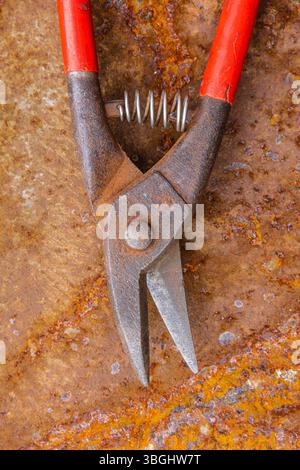 Cesoie a coccodrillo per il taglio di lamiere con manico rosso, foto dettagliata di una vecchia attrezzatura d'epoca isolata su sfondo bianco Foto Stock