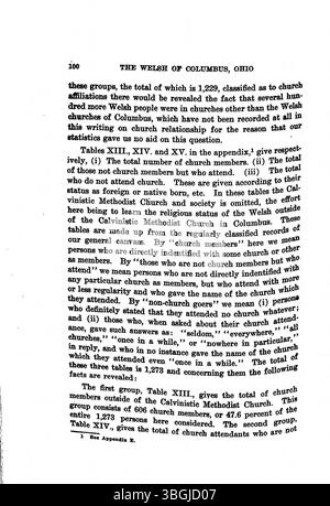 Lo studio del 1913 del Rev. Daniel Jenkins Williams "Welsh of Columbus, Ohio" esamina l'assimilazione della comunità gallese, con particolare attenzione alla Chiesa metodista calvinistica gallese di Columbus. Lo studio evidenzia gli aspetti sociali e religiosi della vita degli immigrati gallesi in Ohio durante i primi anni '1900 Foto Stock