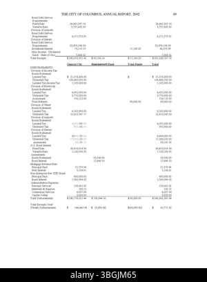 Il rapporto annuale della città di Columbus del 2002 descrive in dettaglio le prestazioni finanziarie della città, con una ripartizione delle entrate e delle spese. Include anche relazioni del Committee of Ways and Means, City Clerk e City Treasurer, che evidenziano le attività fiscali della città per l'anno. Foto Stock