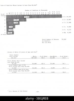 Questo studio del 1964, preparato dall'United Community Council, presenta la prima fase di un programma multifase per identificare i problemi a Columbus e Franklin County, Ohio. Affronta questioni come la povertà, la povertà degli alloggi, l'istruzione limitata e le cure mediche inadeguate. Foto Stock
