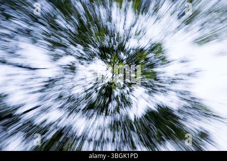 Processi a Amatlán. Morelos, Messico Foto Stock