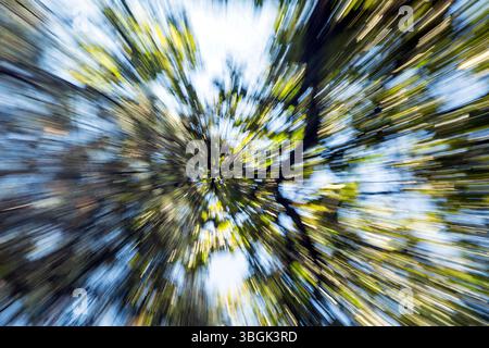 Processi a Amatlán. Morelos, Messico Foto Stock