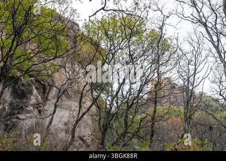 Processi a Amatlán. Morelos, Messico Foto Stock