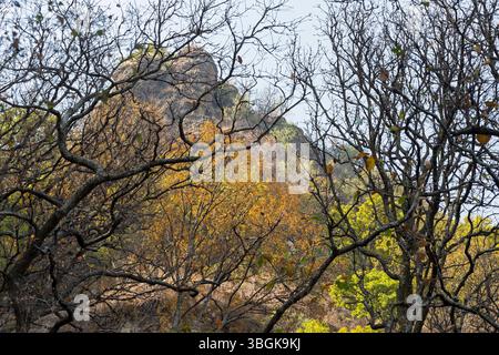 Processi a Amatlán. Morelos, Messico Foto Stock