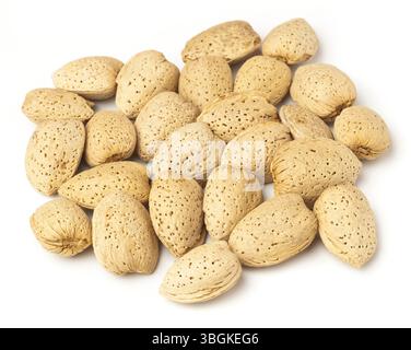 Un'immagine in alto cattura una generosa pila di mandorle non sgusciate, sparse casualmente su uno sfondo bianco chiaro e luminoso. Ogni mandorla, con me Foto Stock