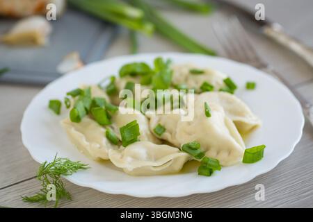 Gnocchi caldi in un piatto con cipolle su un tavolo di legno chiaro. Foto Stock