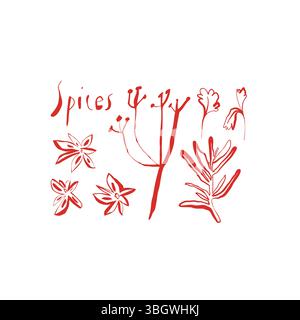 Composizione disegnata a mano di anice ed erbe aromatiche con scritte spezie in stile rosso brillante su sfondo bianco Illustrazione Vettoriale