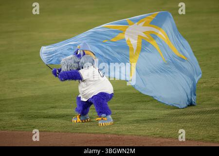 Tampa, Florida, Stati Uniti. 5 giugno 2025. La mascotte dei Tampa Bay Rays Raymond sventolò la bandiera della vittoria dopo una partita di baseball della MLB contro i Texas Rangers, giovedì 5 giugno 2025, al George M. Steinbrenner Field. I Rays hanno battuto i Rangers 4-3. (Credit Image: © Kim Hukari/ZUMA Press Wire) SOLO PER USO EDITORIALE! Non per USO commerciale! Foto Stock