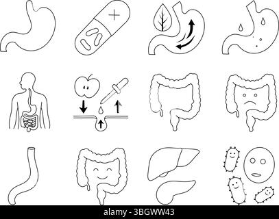Pacchetto icone anatomia medica e digestiva. Simboli di contorno di intestino sano, digestione, stomaco, fegato, colon, microbiota e integratori correlati al benessere gastrointestinale. Illustrazione Vettoriale