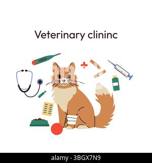 Illustrazione di una clinica veterinaria con un gatto arancione soffice con una zampa fasciata, circondato da strumenti medici come uno stetoscopio, un termometro Illustrazione Vettoriale