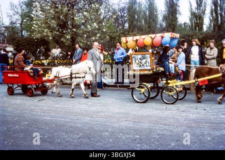 London Harness Horse Parade, lunedì di Pasqua 1976, nel Regent's Park. W Rich & Sons cart e pony Foto Stock