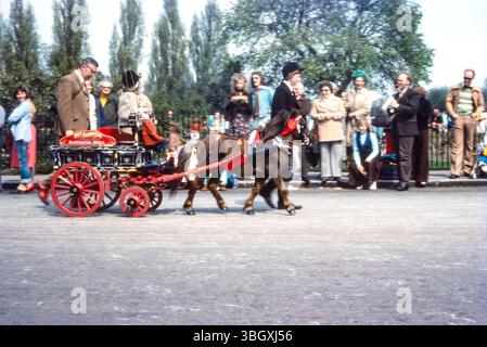 London Harness Horse Parade, lunedì di Pasqua 1976, nel Regent's Park. Pat Fewster di Shepperton, carretto del Middlesex e pony Foto Stock