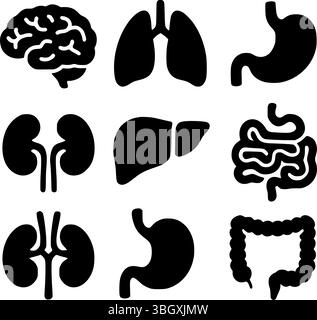 Set di icone anatomia degli organi umani – Black silhouette Vector Collection Illustrazione Vettoriale