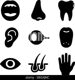 Set di icone silhouette per organi e parti esterne di senso umano | vettore medico e biologico Illustrazione Vettoriale