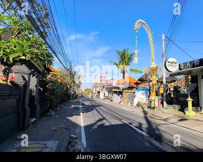 Decorazione Penjor a Bali, Indonesia, realizzata con foglie di cocco colorate, montata su un tronco di albero di bambù, utilizzata durante le tradizionali cerimonie culturali Foto Stock