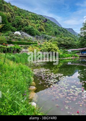 I Giardini del Castello di Trauttmansdorff, Merano, alto Adige, Italia, Europa Foto Stock