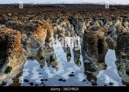 Riflessi delle rocce nell'acqua, durante la bassa marea sulla spiaggia di Peacehaven nel Sussex Foto Stock